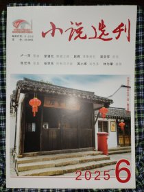 小说选刊2025.6
