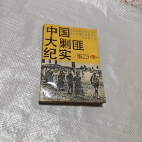 中国大剿匪纪实
