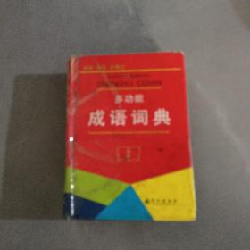 多功能成语词典（修订版）