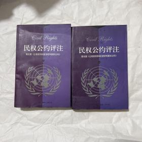 民权公约评注:联合国《公民权利和政治权利》（上下）