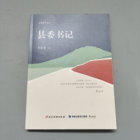 县委书记