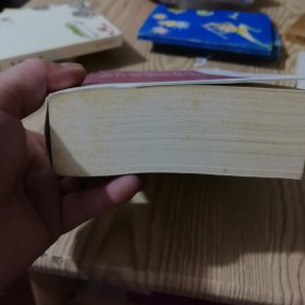卡尔·威特的教育 蒙台梭利的教育 斯托夫人的教育