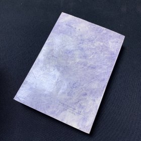 走向权利的顶峰----世界政要100人