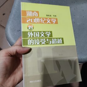 湖南20世纪文学对外国文学的接受与超越