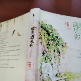 最美遇见你：完美纪念版