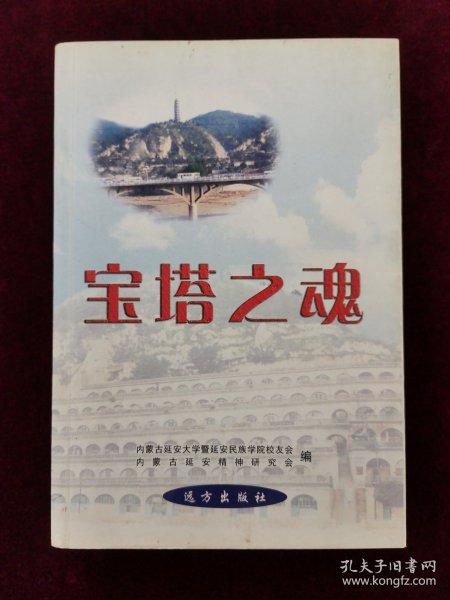 宝塔之魂