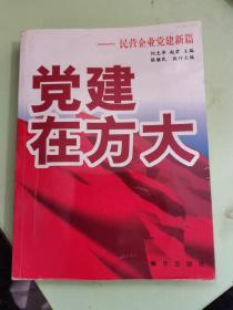 党建在方大:民营企业党建新篇（品相看图内页干净）