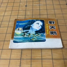 連環(huán)畫 野天鵝