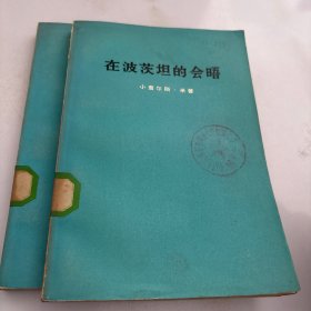 在波茨坦的会晤