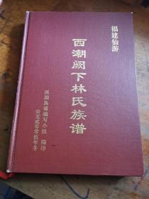 福建仙游西潮阙下林氏族谱