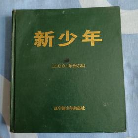 《新少年》杂志  
——二〇〇二年合订本