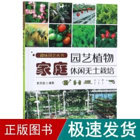 家庭园艺植物休闲无土栽培 