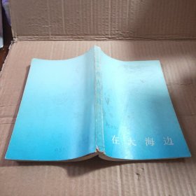 译文丛刊:在大海边