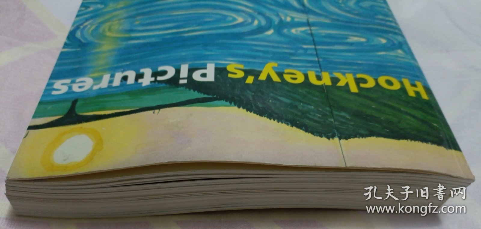 Hockney's Pictures（145—176页书脊有脱胶。请谨慎下单，售后不退，请勿议价，非诚勿扰。）塑柜四层