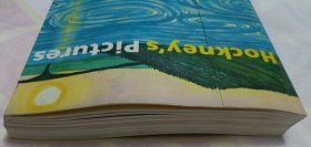 Hockney's Pictures(145—176页书脊有脱胶。请谨慎下单,售后不退,请勿议价,非诚勿扰。)塑柜四层