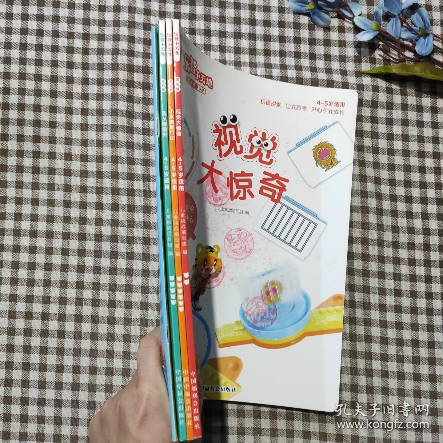 视觉大惊奇（乐智小天地·成长版中班45岁用）