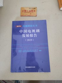 中国电视剧发展报告（2019）T1289