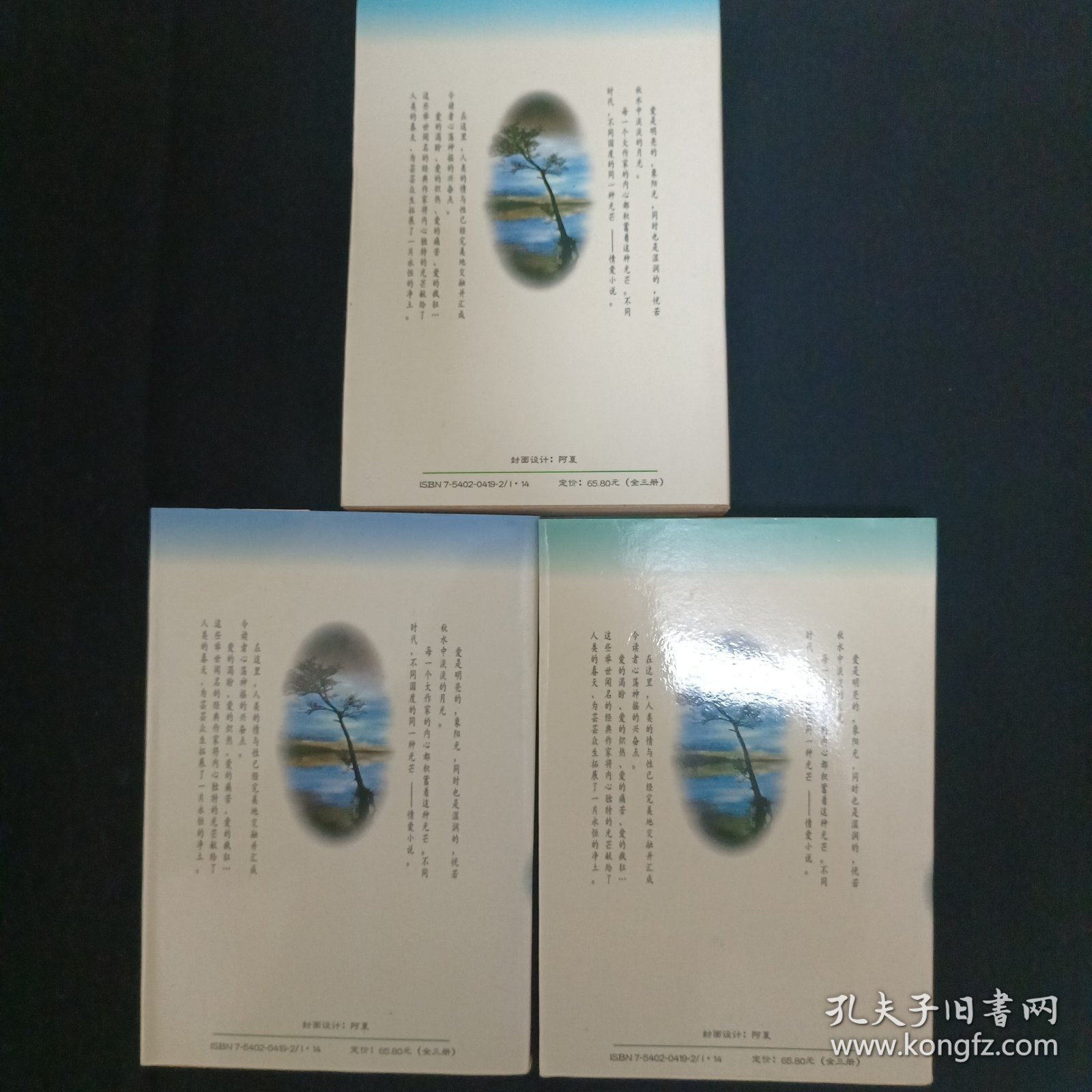 情殇:世界情爱小说精品大系.中篇卷（全三册）（E3）