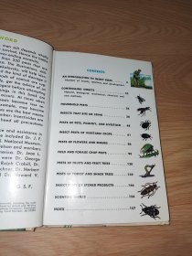 Insect Pests Zim and Fichter 英文版 精装 馆藏书 彩色版