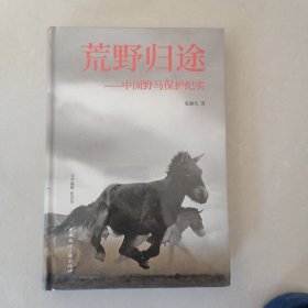 荒野归途:中国野马保护纪实