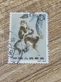 特60《金丝猴》信销散邮票3-2