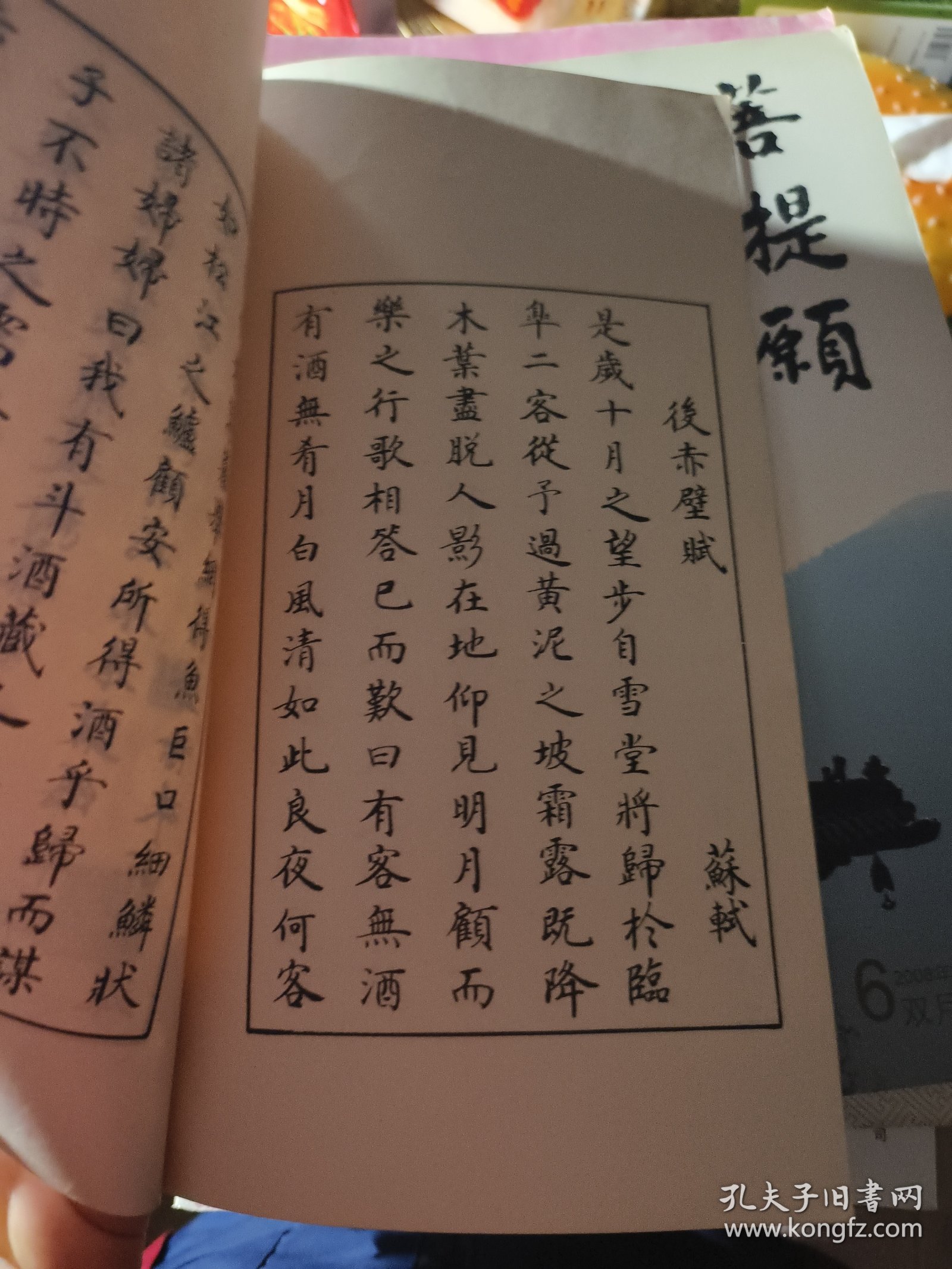 隋学芳书前后赤壁赋