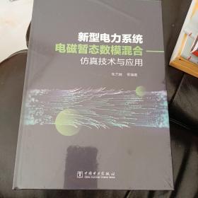 新型电力系统电磁暂态数模混合仿真技术及应用