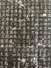 唐陆府君夫人弘农杨氏墓志拓片