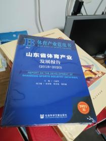 山东省体育产业发展报告(2018-20202021版)/体育产业蓝皮书