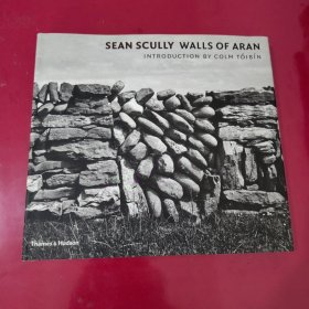 SEAN SCULLY WALLS OF ARAN：INTRODUCTION BY COLM TOIBIN【1012】