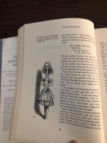 The annotated Alice       Alice’s Adventures In Wonderland Through The Looking Glass    超大开本，John Tenniel插图本，Martin Gardner作序与注释