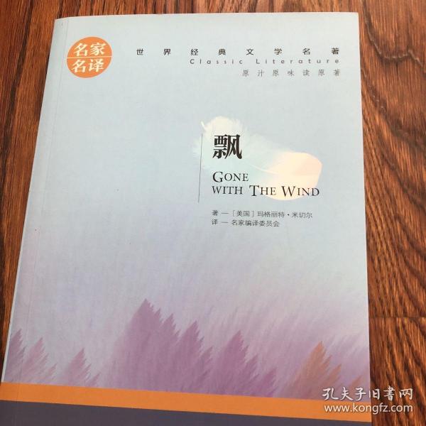 飘 中小学生课外阅读书籍世界经典文学名著青少年儿童文学读物故事书名家名译原汁原味读原著
