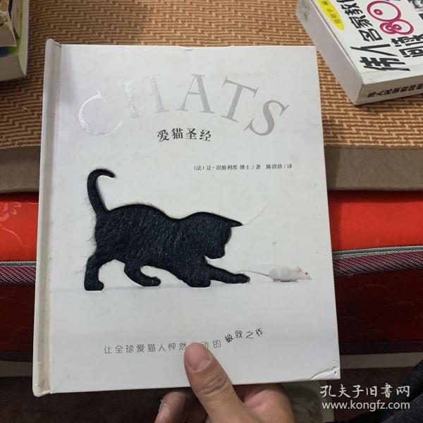 爱猫圣经