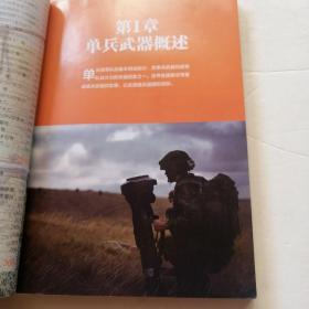 全球单兵武器图鉴大全（品相如图）