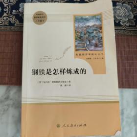统编语文教材配套阅读 八年级下：钢铁是怎样炼成的/名著阅读课程化丛书