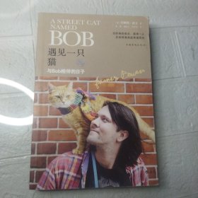 遇见一只猫:与Bob相伴的日子