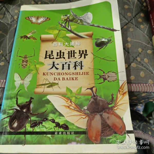 百科大揭秘：昆虫世界大百科