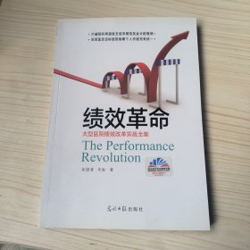 绩效革命：大型医院绩效改革实战全案