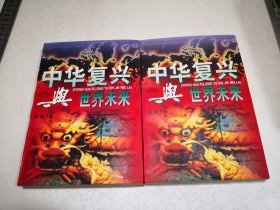 中华复兴与世界未来 上下2册全