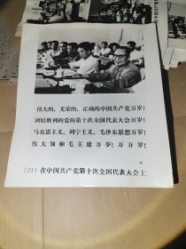 团结胜利的党的第十次全国代表大会万岁【黑白照 23张】