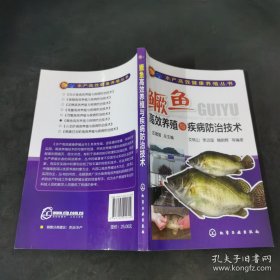 鳜鱼高效养殖与疾病防治技术