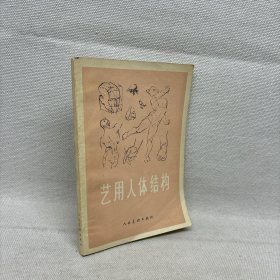 艺用人体结构