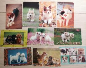 日本电话卡～动物/狗专题(2)--10枚犬合售（过期废卡，收藏用）