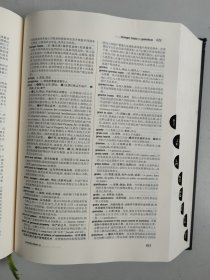 元照英美法词典（小16开精装重排版）