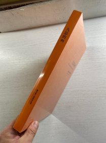 九思的画 美术家个案研究丛书(正版·全新未拆封)