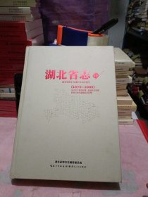 湖北省志19(1979-2000)安全生产监督管理 质量技术监督 药品与医疗器械监督管理