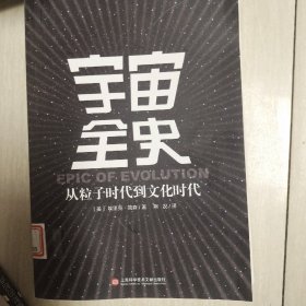 宇宙全史：从粒子时代到文化时代