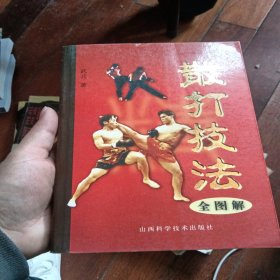 散打技法