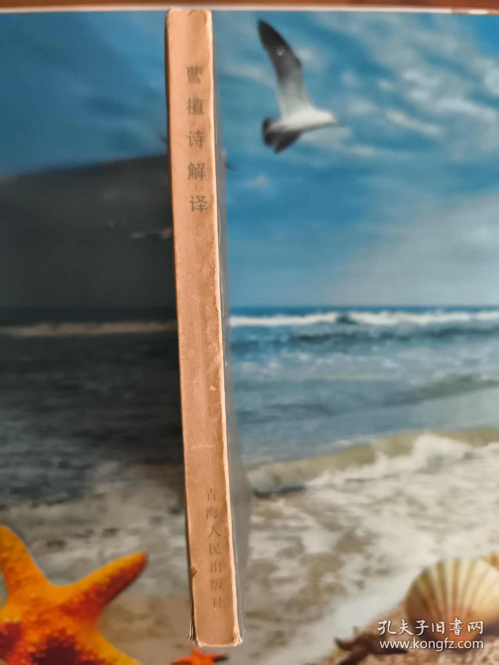 曹植诗解译