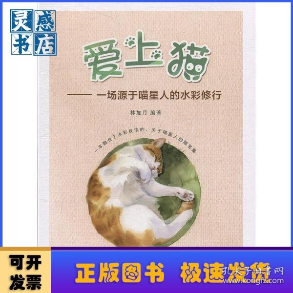 爱上猫——一场源于喵星人的水彩修行